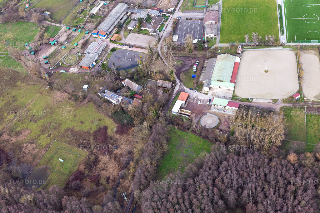 Luftbild: Reit- und Fahrverein e.V im Ortsteil Billigheim in Billigheim-Ingenheim im Bundesland Rheinland-Pfalz in Deutschland. Foto: IMG_124331.jpg vom 04.02.2021 durch Werner Riehm/FLY-FOTO.de