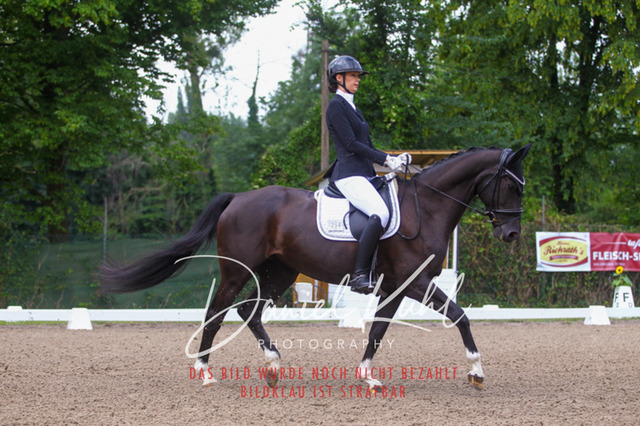 DKP41875 | Turniersportfotografie; Pferdefotografie; Dressurfotografie