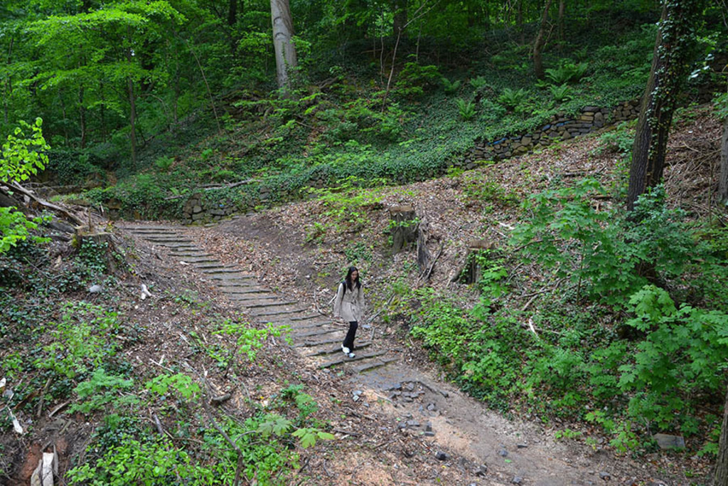 Grimma - Wanderweg: Weg der Steine | Entdecke über 20 Kategorien Leipzig-Motive: Foto-Downloads, hochwertige Poster, Leinwand- & Fine-Art-Prints. Jetzt Lieblingsfoto im Bildlexikon Leipzig Shop bestellen!