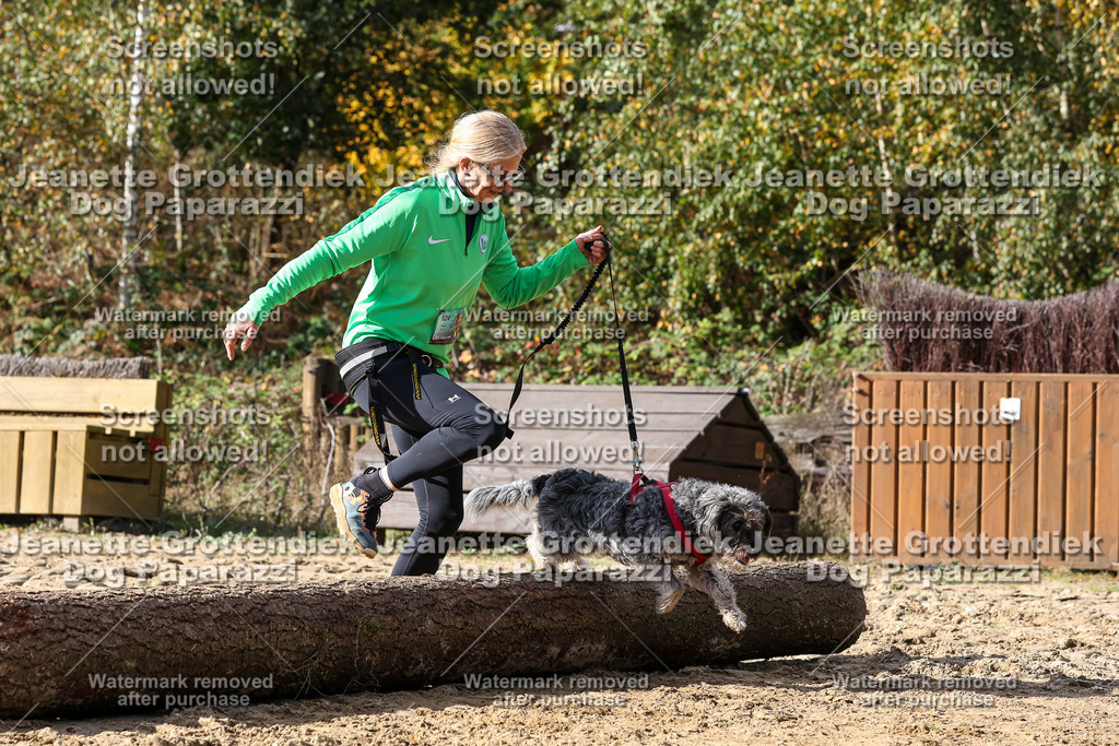 Dog Paparazzi - Strongdog 10-25-5261 | Dog Paparazzi Jeanette Grottendiek Fotografie & Videografie - Realisiert mit Pictrs.com