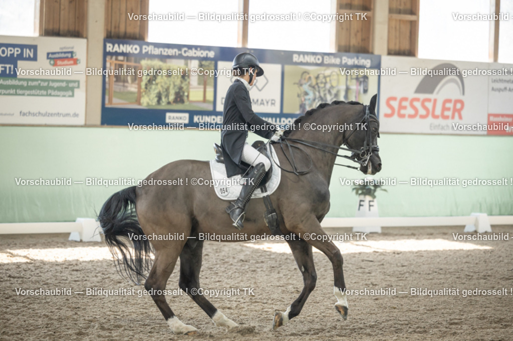 _D5A2188 | Emotionale Pferde- & People-Fotografie rund um Heidelberg, Leimen & Umgebung. Natürliche Fotos von Pferd, Mensch & Familie. Jetzt Termin sichern!