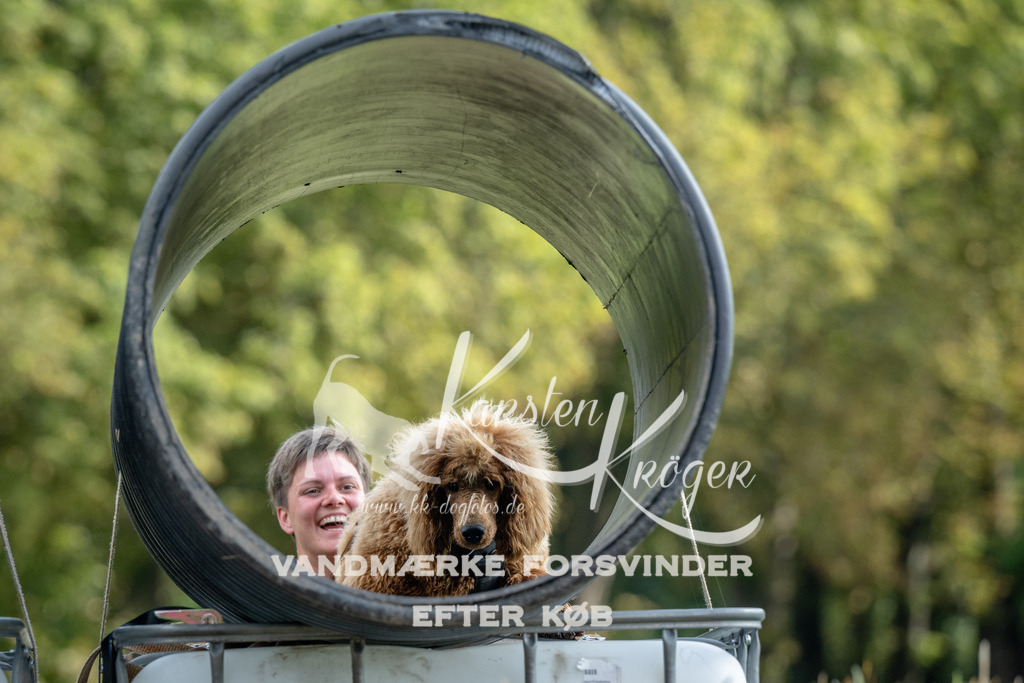 1020_ZZ91762 | kk-dogfotos