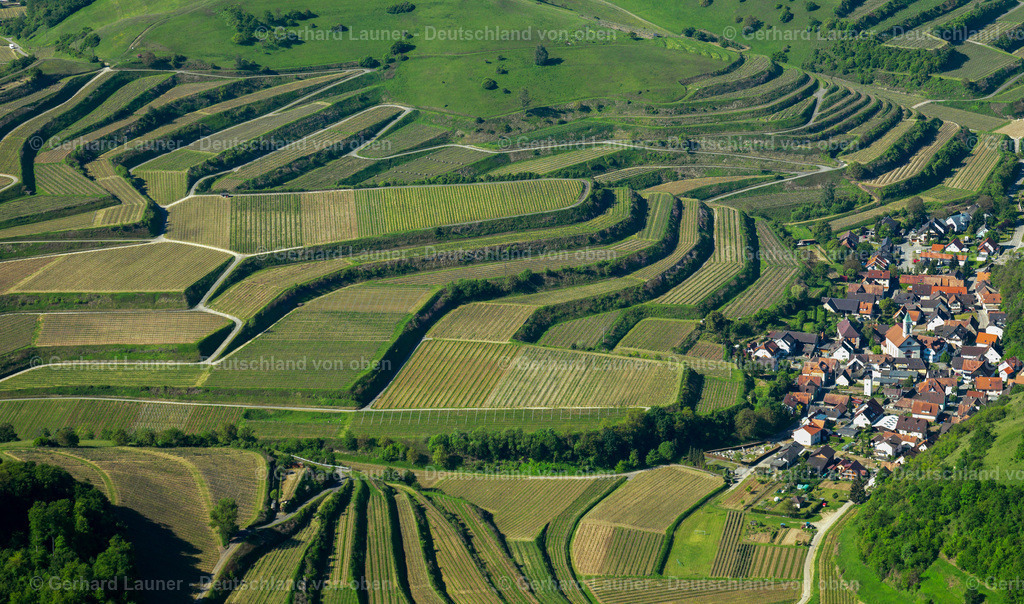 3096250 | Terassenweinberge, Kaiserstuhl bei Schelingen