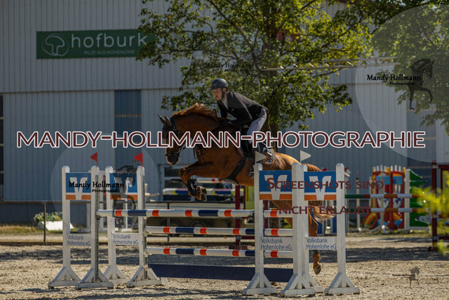26-7-24 SPF M+-47 | mandyhollmannphotographie