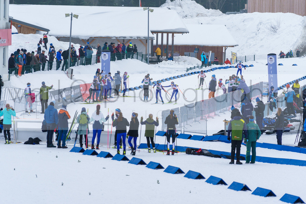 DSC Arber | Bayerischer Wald am 9. bis 12. Februar 2023
