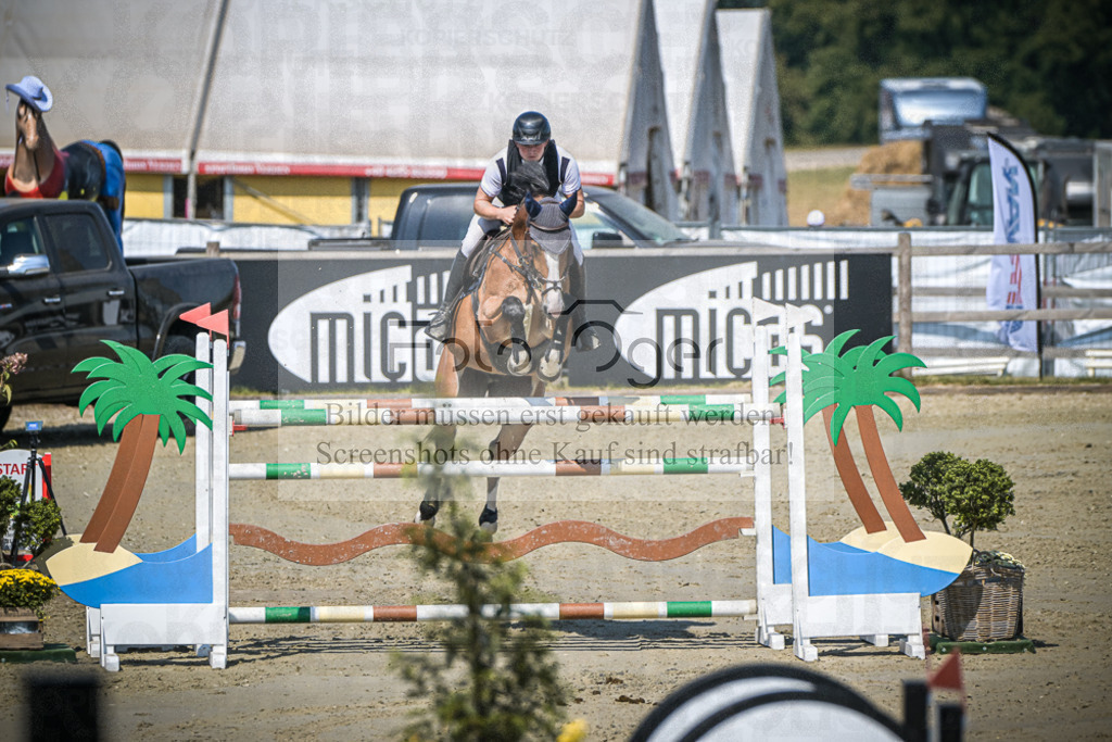 DOS_0789 | Entdecke hochwertige Reitturnierfotos von Foto Oger. Professionell, emotional und authentisch – jetzt Lieblingsmomente im Shop bestellen.Deutschlandweite Turnierfotografie. - Realisiert mit Pictrs.com