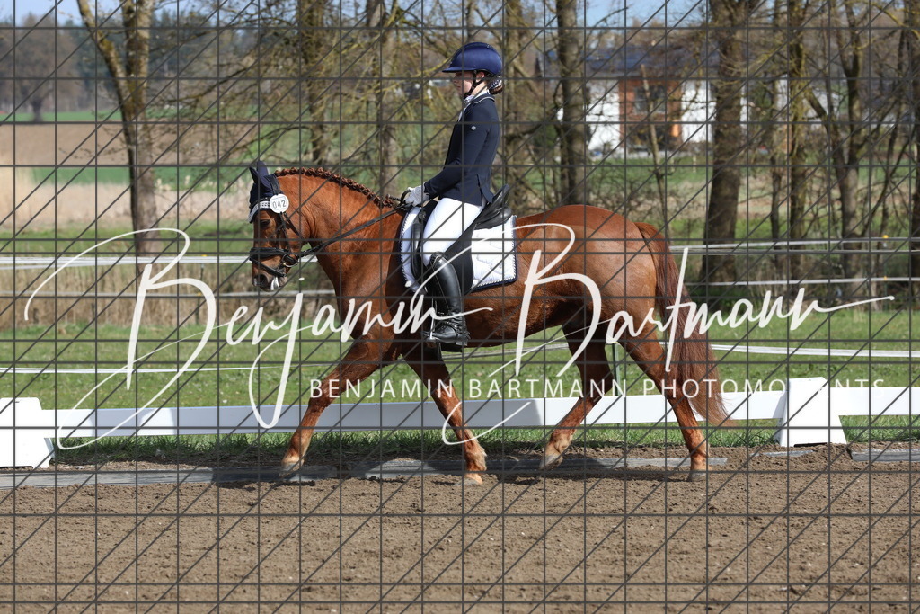 AZ2A4263 | Benjamin Bartmann Photomoments