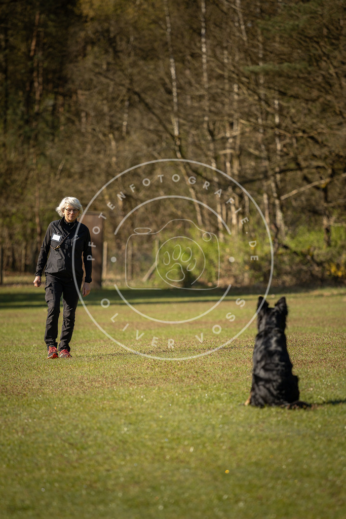 Pfotenfotografie_DV3A0043 | Hundefotografie, Tierfotograf, Pfotenfotografie, Fotoshooting Hund, Hunde Portrait, Hundesport, Hundeportraits, Heideshooting, Hunde, Sportfotograf, Hundefotograf, Turnierhundsport, THS,  - Realisiert mit Pictrs.com