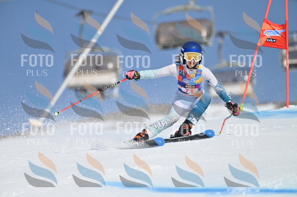 BGV_8923 | holidayphoto