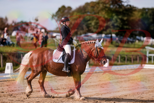 2026_10_03_Siefer-Hof_114105_Z81_83850527 | Professionelle Reitsport-, Turnier- und Eventfotografie von Robert Broda. Galerien mit ausgewählten und bearbeiteten Bildern direkt online ansehen und bestellen.