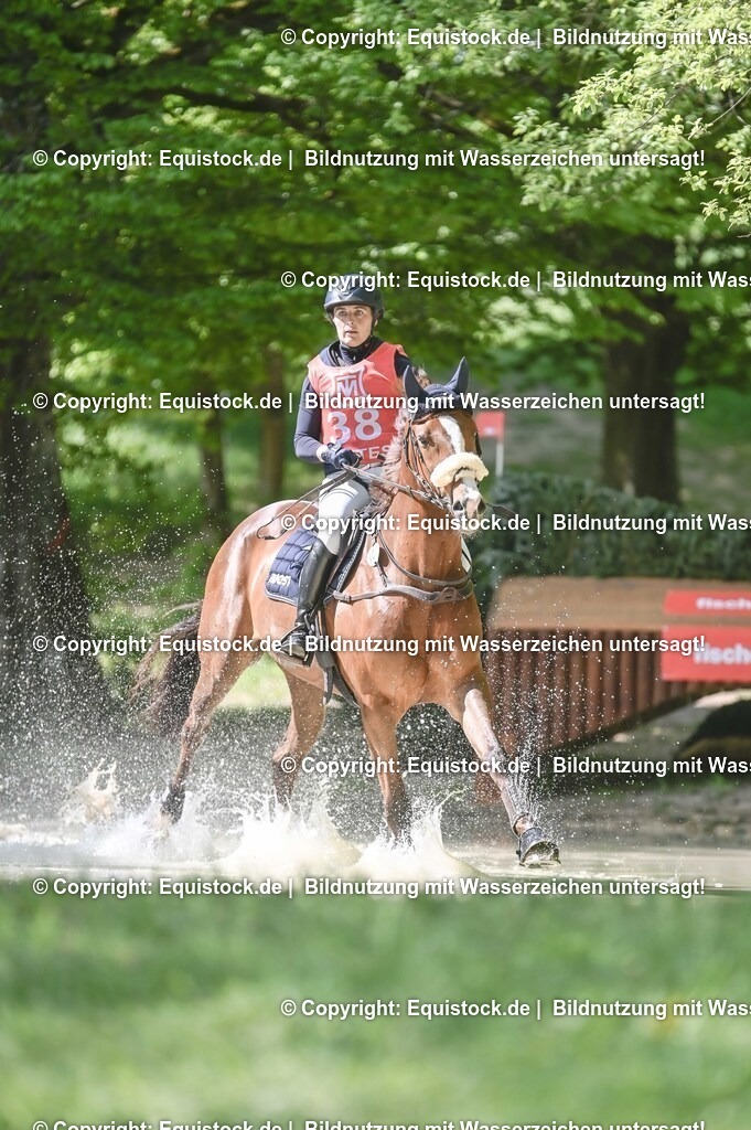 20250517_CCI2_Gelände_0979 | Foto: Thomas Hartig
