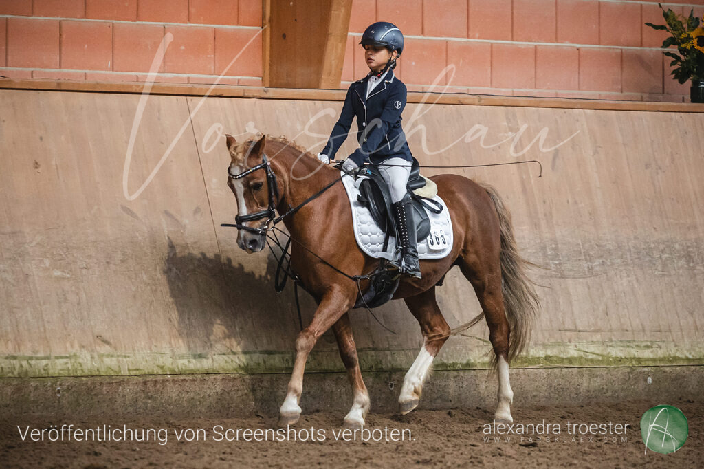 _MG_0720 | farbklaex.com
