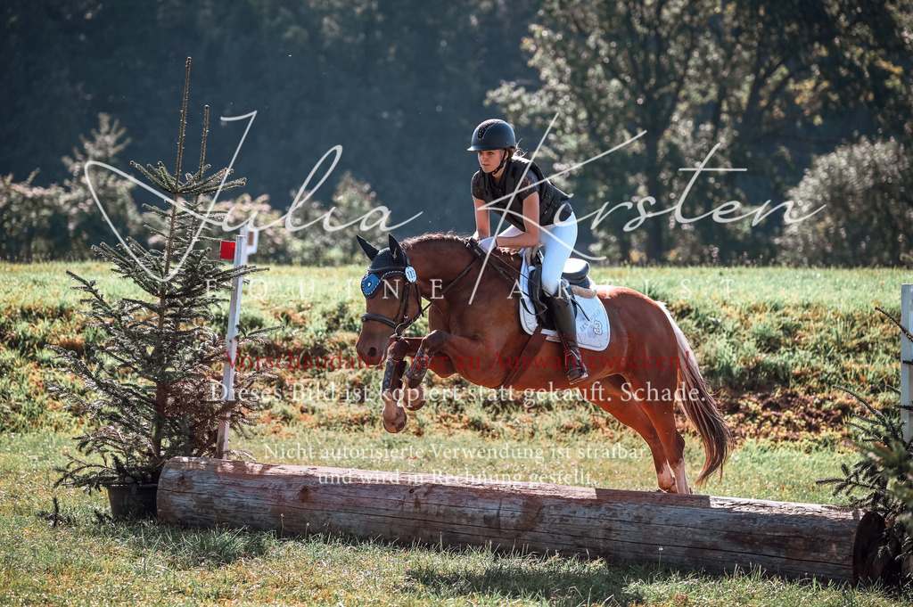 DSC_0924 | Pferde- und Turnierfotografie in Westsachsen. Pferdeportraits, Auftragszeichnungen und intuitive Kunst.
