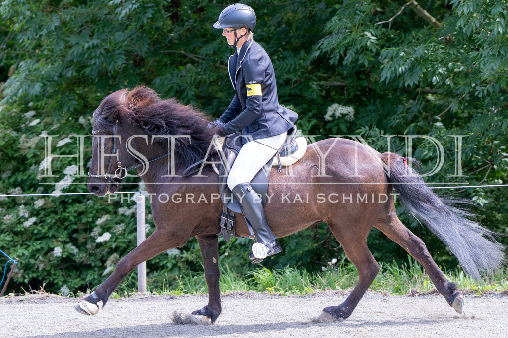 KAI02098 | Ihr sucht einen Fotografen für eure nächste OSI? Ich begleite auch euer Turnier für Islandpferde fotografisch.  - Realisiert mit Pictrs.com
