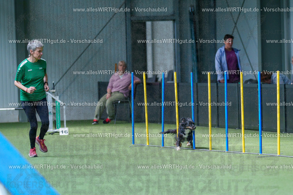 @allesWIRTHgut_Tierfotografie - www.allesWIRTHgut.de - 2604251438-7R505178 | Professionelle Tierfotografie in Mönchengladbach von Daniel Wirth (allesWIRTHgut). Liebevolle & natürliche Bilder von Hunden & Katzen für unvergessliche Erinnerungen.