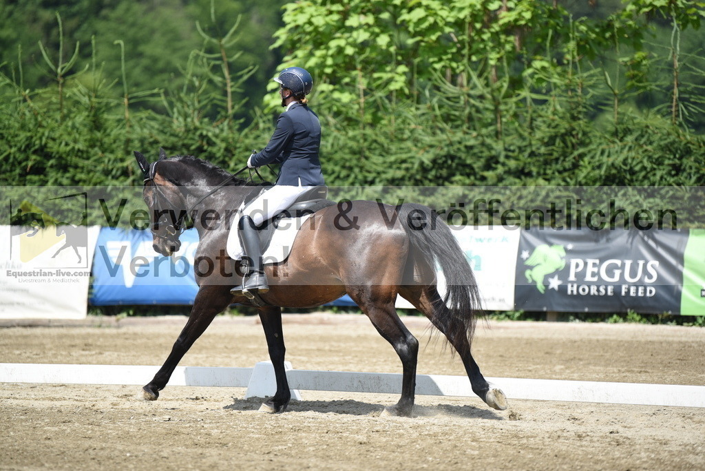 DSC_8972 | equestrian-live-com