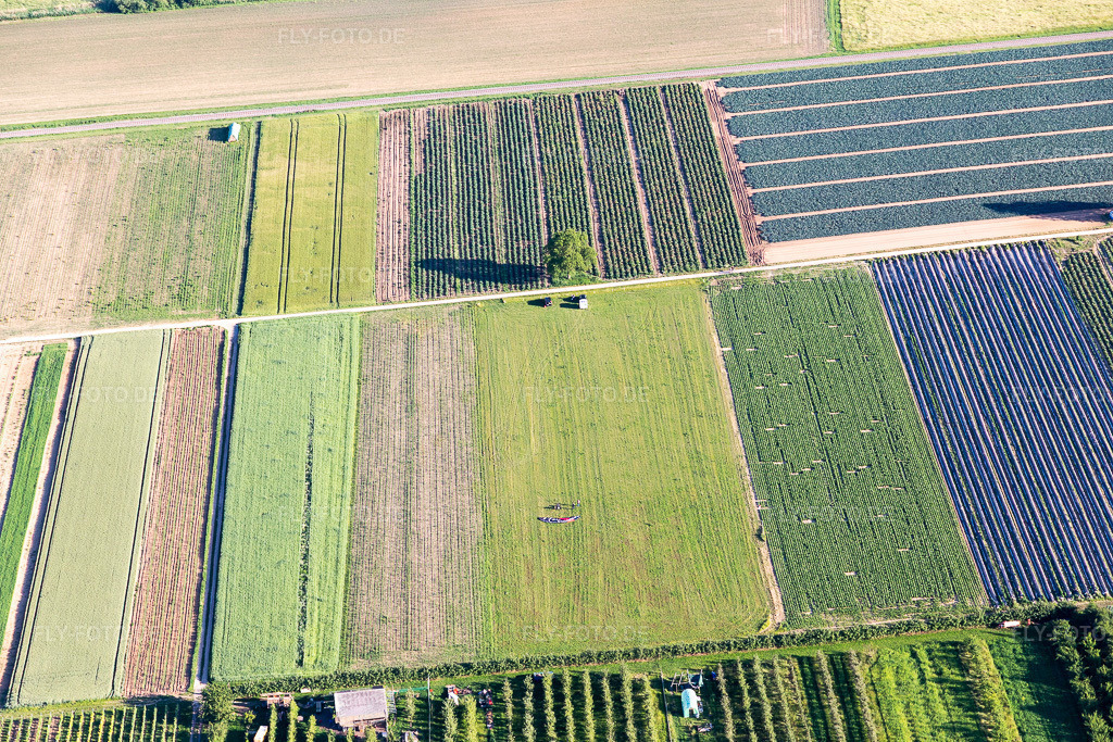 Luftbild: Ortsansicht im Ortsteil Mühlhofen in Billigheim-Ingenheim im Bundesland Rheinland-Pfalz in Deutschland. Foto: IMG_115075.jpg vom 13.06.2019 durch Werner Riehm/FLY-FOTO.de