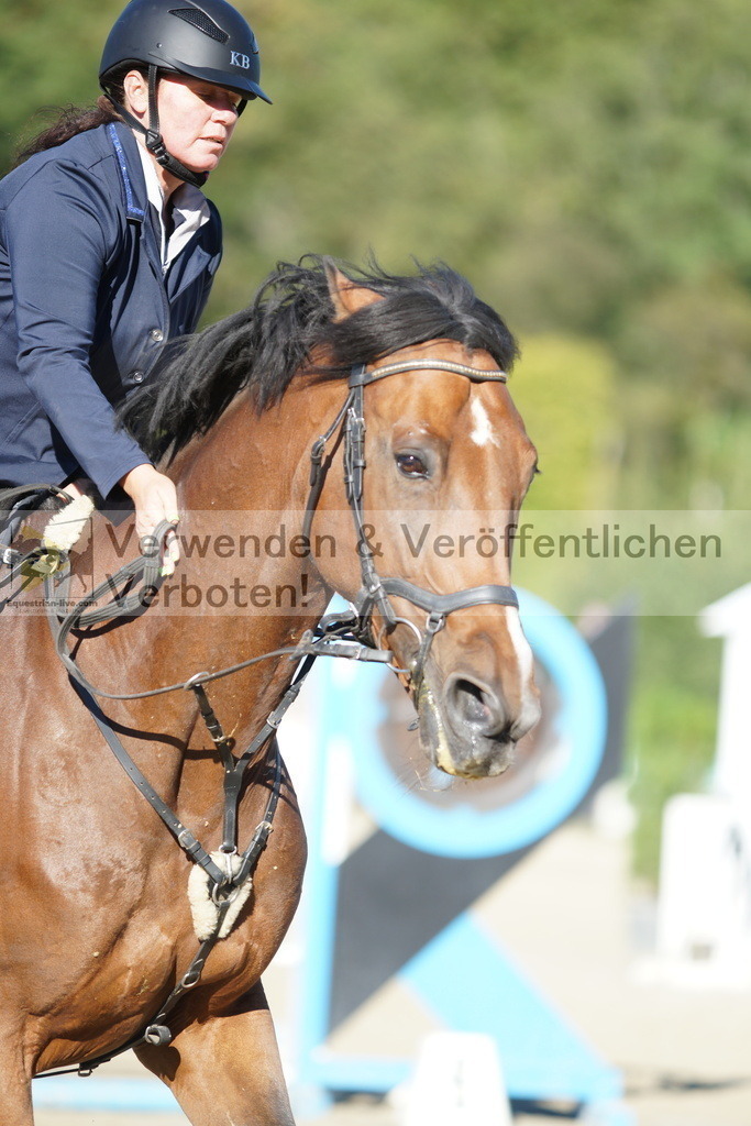 DSC08302 | equestrian-live-com