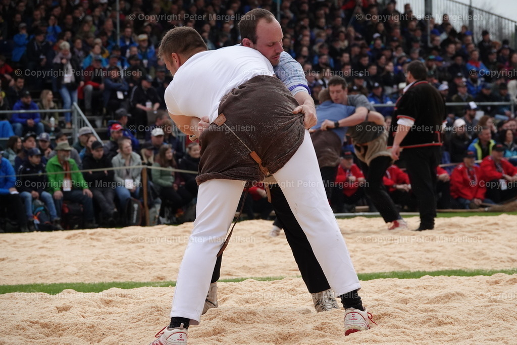 DSC03809 | Schwingen - Realisiert mit Pictrs.com