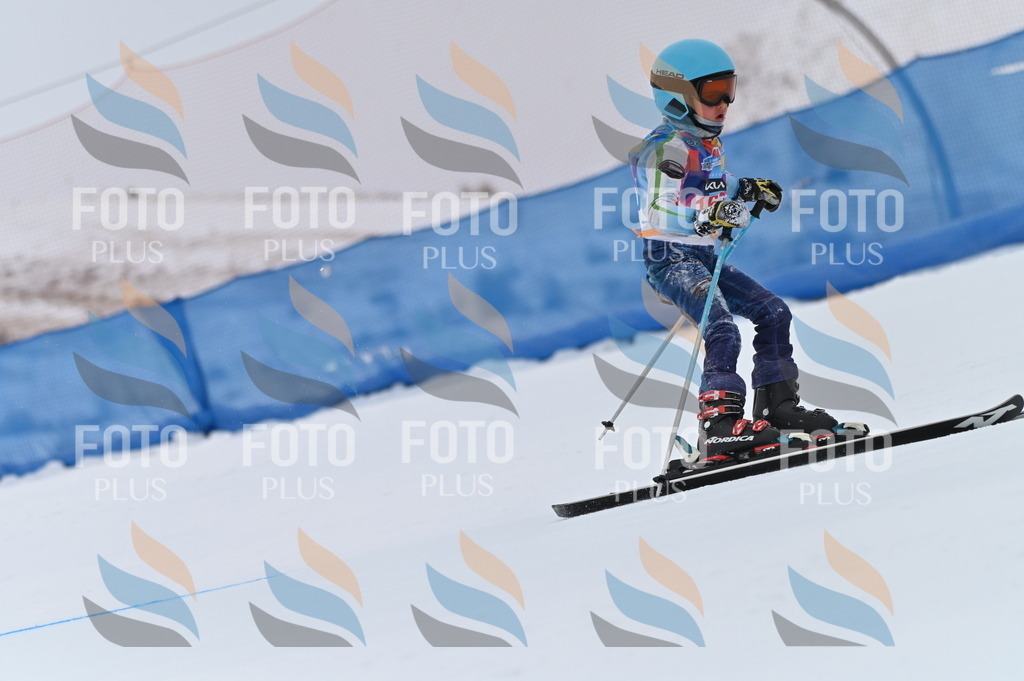 BGV_0446 | holidayphoto