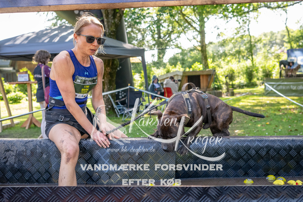 1536_ZZ91853 | kk-dogfotos