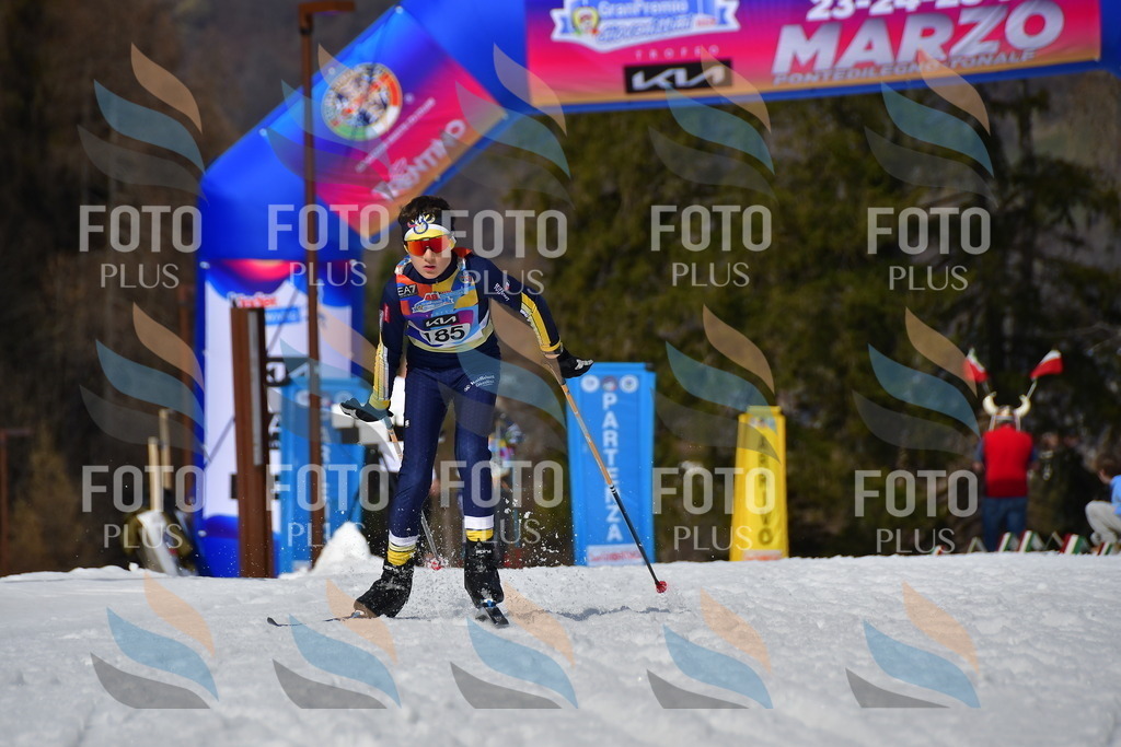 _DSC0860 | holidayphoto