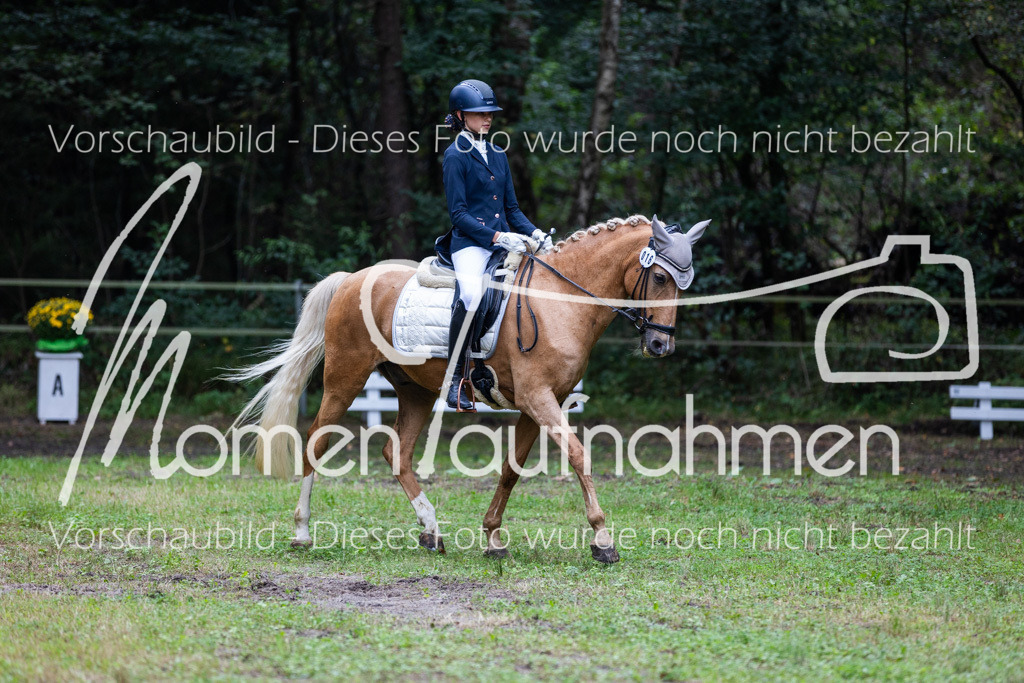 HB-A-Dressur-024 | MomenTaufnahmen Pferdesportfotos