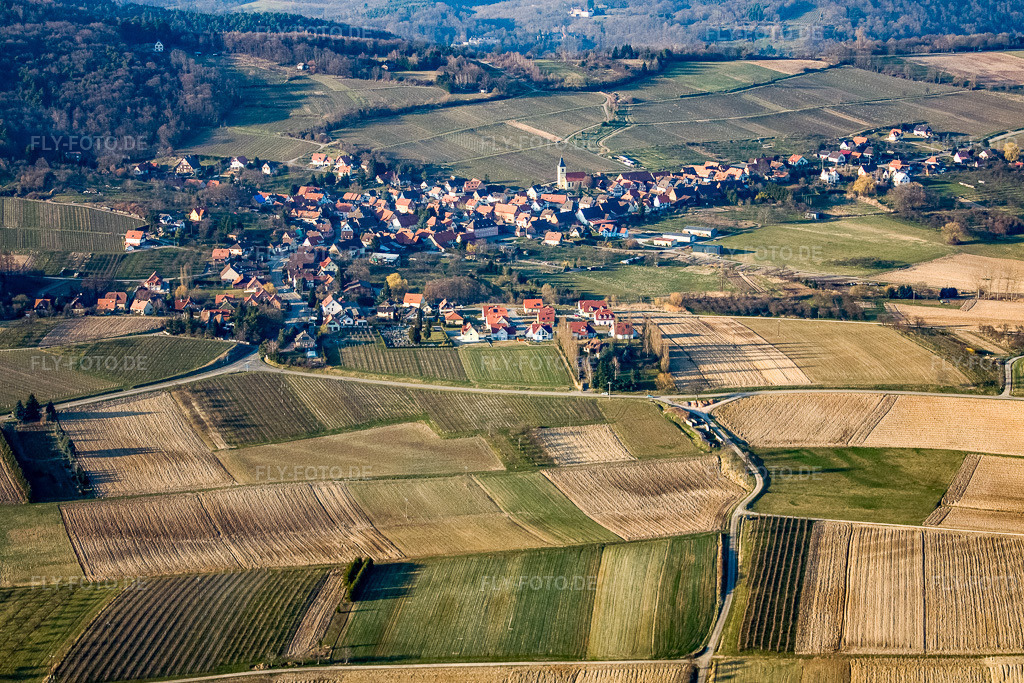 Luftbild: Ortsansicht aus Süden in Rott im Bundesland Bas-Rhin in Frankreich. – Foto: IMG_17488.jpg vom 21.03.2009 durch Werner Riehm/FLY-FOTO.de – Auflösung des Originals: 4079 x 2719 px