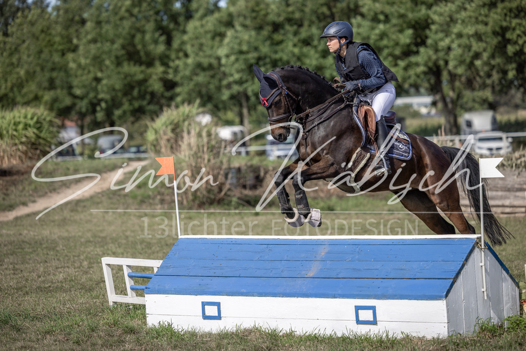 20250907-_3LI9665 | Tierfotografie Pferde, Hunde, Katzen, Haustiere.
Turnierfotografie Reitturniere, Reiten, Springreiten, Dressur in Hanau, dem Main-Kinzig-Kreis und dem Rhein-Main- Gebiet um Frankfurt
