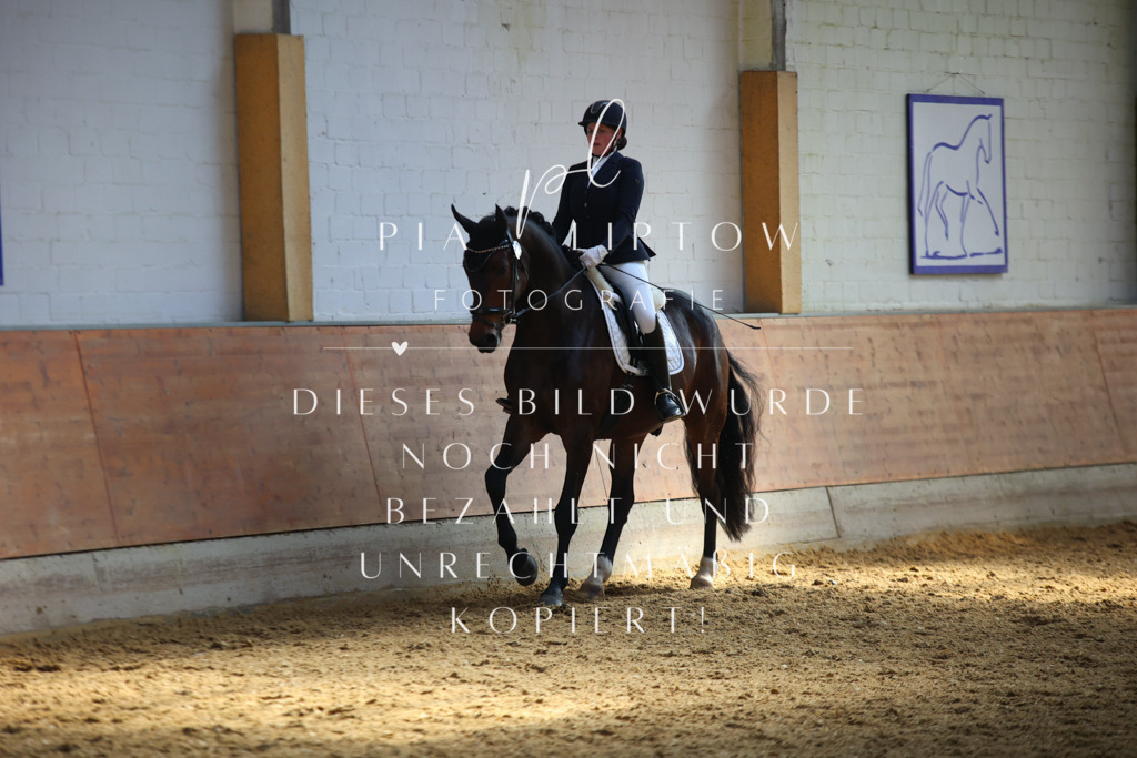 IMGT6920 | pl-fotografie