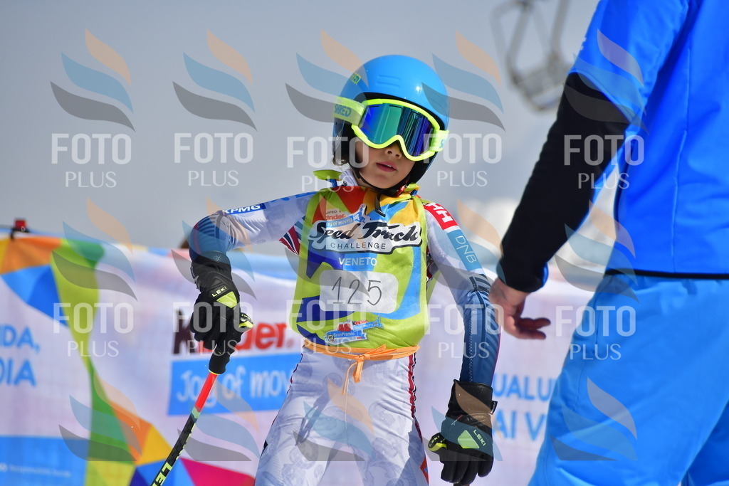 _DSC7824 | holidayphoto