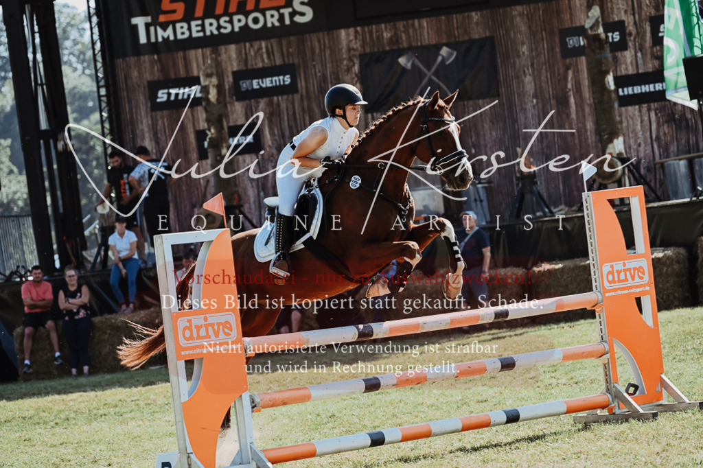 DSC_5662 | Pferde- und Turnierfotografie in Westsachsen. Pferdeportraits, Auftragszeichnungen und intuitive Kunst.