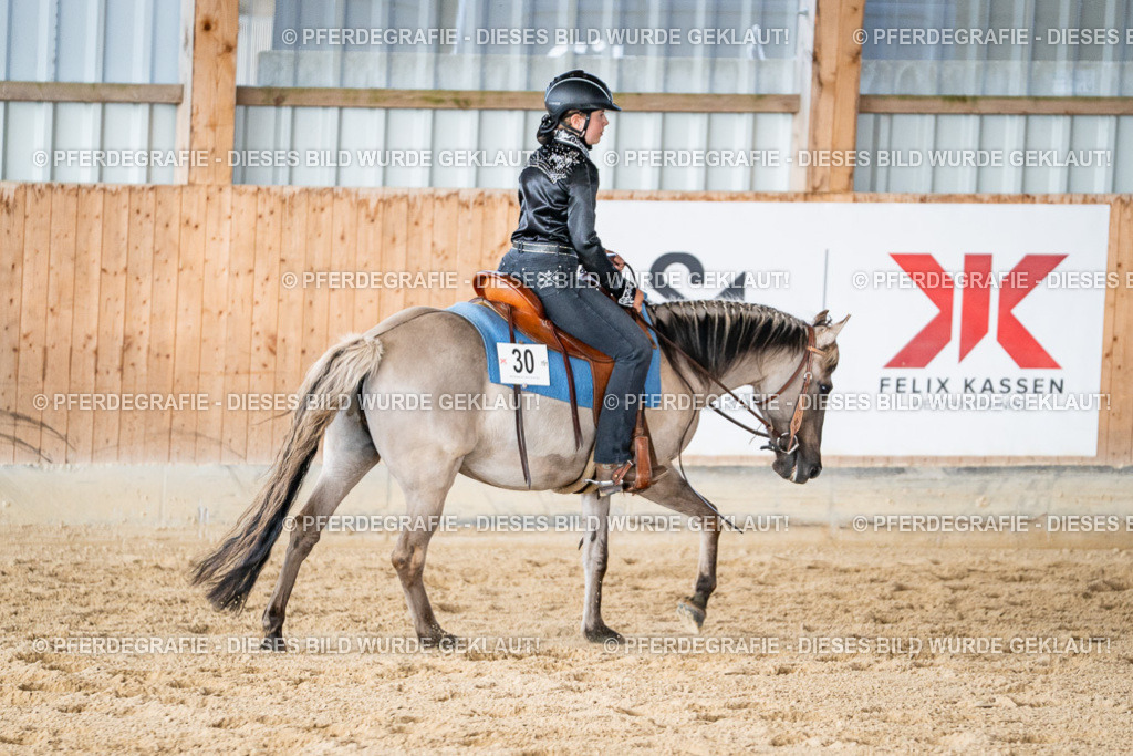 DSC09253 | Pferdegrafie