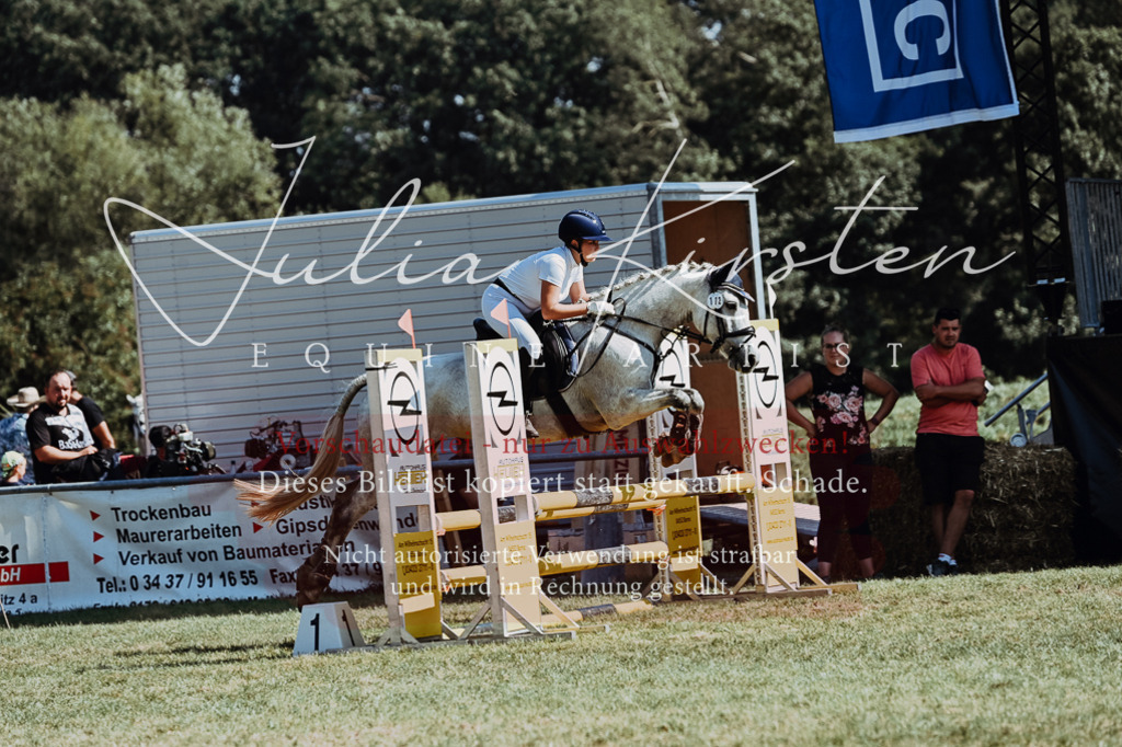 DSC_6518 | Pferde- und Turnierfotografie in Westsachsen. Pferdeportraits, Auftragszeichnungen und intuitive Kunst.