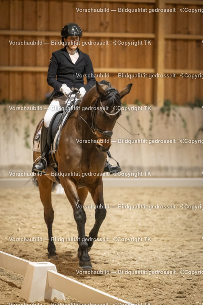 _D5A0736 | Emotionale Pferde- & People-Fotografie rund um Heidelberg, Leimen & Umgebung. Natürliche Fotos von Pferd, Mensch & Familie. Jetzt Termin sichern!