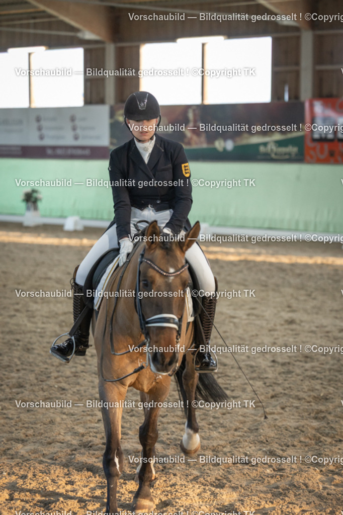 _D5A0924 | Emotionale Pferde- & People-Fotografie rund um Heidelberg, Leimen & Umgebung. Natürliche Fotos von Pferd, Mensch & Familie. Jetzt Termin sichern!