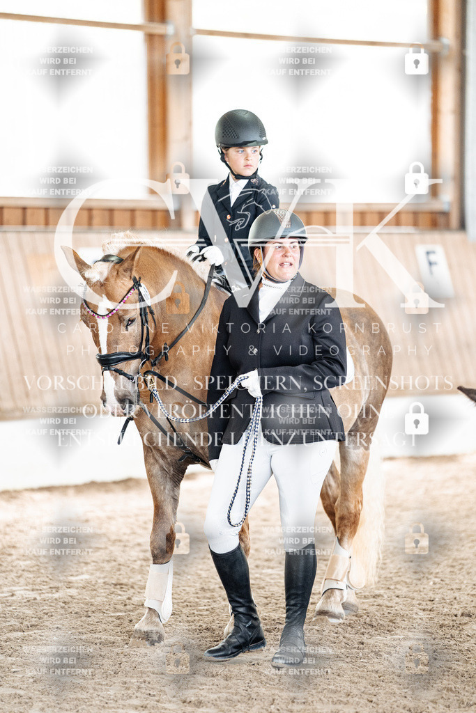 CK902062 | Turnierfotografie Pferdefotografie Trier Rheinland-Pfalz Pferdesport Reitsport Tierfotografie Sportfotografie Pferdevideo Pferdevideografie Equestrianvideography equestrianphotography  - Realized with Pictrs.com