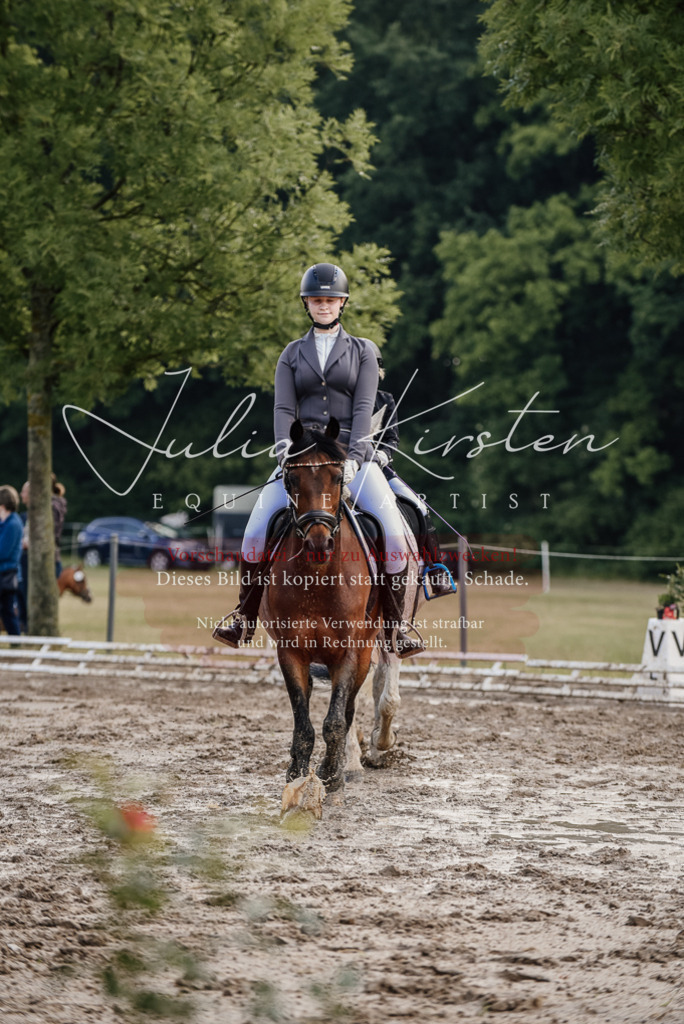 DSC_8312 | Pferde- und Turnierfotografie in Westsachsen. Pferdeportraits, Auftragszeichnungen und intuitive Kunst.