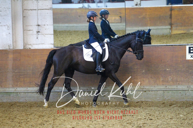 DKP44237 | Turniersportfotografie; Pferdefotografie; Dressurfotografie