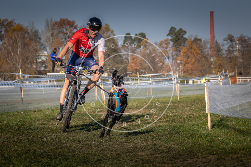 CaniXpix_0L8A5993 | Hundefotografie, Tierfotograf, Pfotenfotografie, Fotoshooting Hund, Hunde Portrait, Hundesport, Hundeportraits, Heideshooting, Hunde, Sportfotograf, Hundefotograf, Turnierhundsport, THS,  - Realisiert mit Pictrs.com