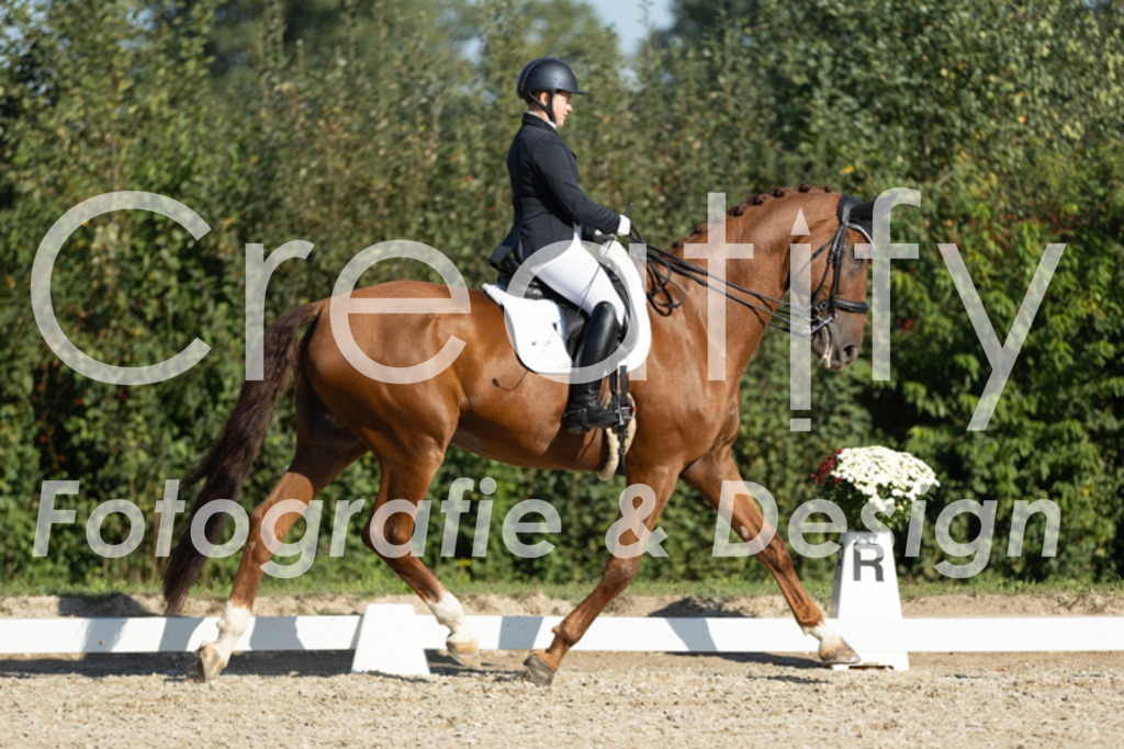 IMG_0601 | Creatify Fotografie