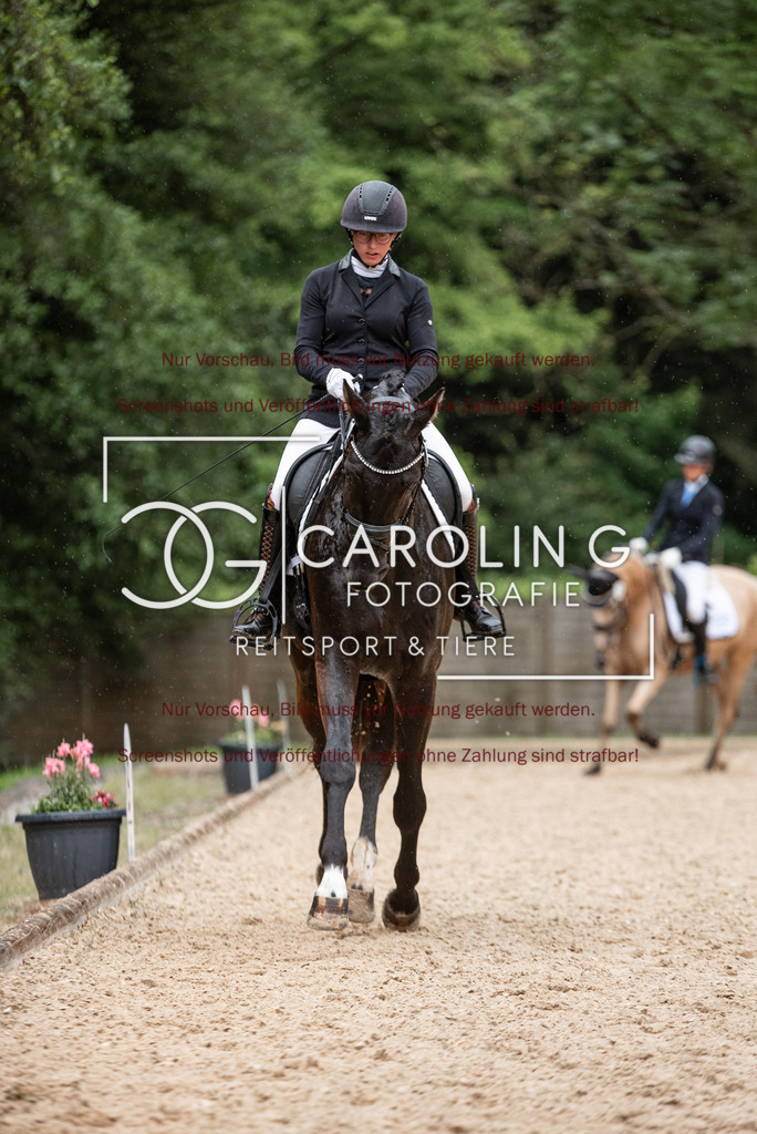 DSC_3192 | Turnierfotografin Carolin Gieschke,Reitsport Turnierfotografie Carolin G Fotografie | Turnierfotos aus Kirchheim/Teck, Esslingen, Stuttgart und dem Bodenseekreis