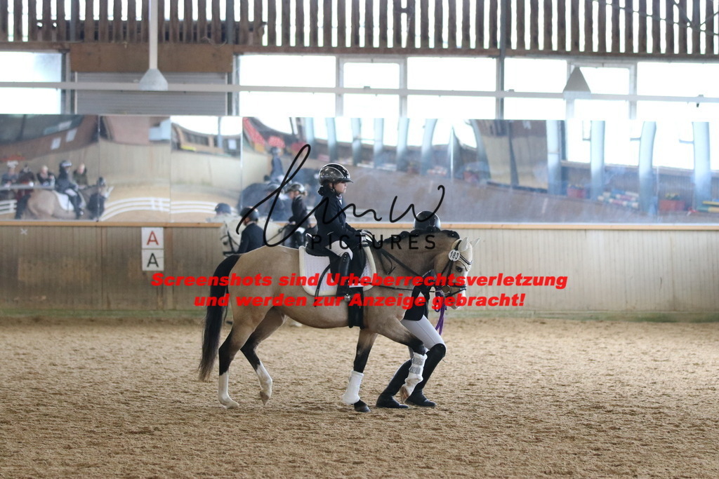 IMG_5156 | lmwpictures - Realisiert mit Pictrs.com