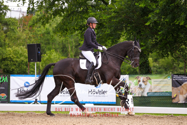 DKP41175 | Turnierfotos kaufen im Webshop von Daniel Kuhl Photography – entdecke professionelle Reitsportfotos aus Turnieren & Events. Hochwertige Turnierbilder online bestellen & sichern. Jetzt Fotos von Reitsportturnieren kaufen!