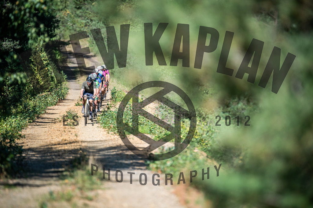 DKP-2067 | Drew Kaplan Photography