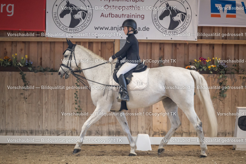 _D5A2177 | Emotionale Pferde- & People-Fotografie rund um Heidelberg, Leimen & Umgebung. Natürliche Fotos von Pferd, Mensch & Familie. Jetzt Termin sichern!