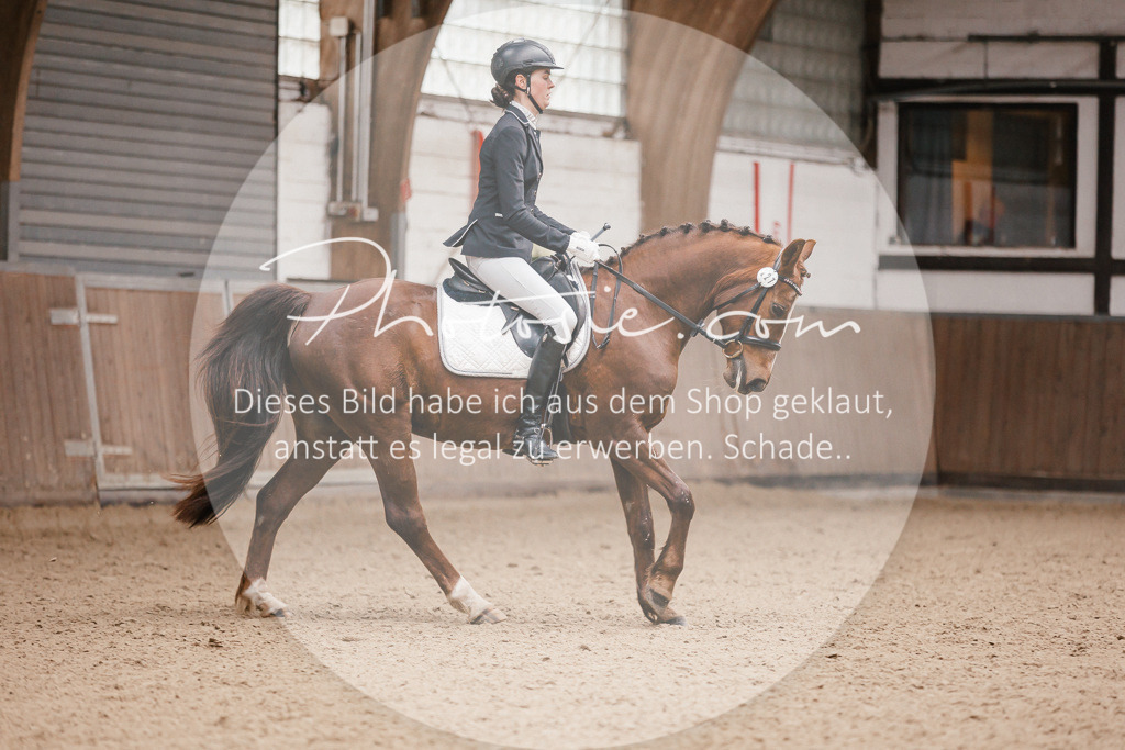 3I6A6704 | Stimmungsvolle Portraits und Reitsportfotografie im Ruhrgebiet und im Münsterland.

Pferdefotografie, Hundefotografie, Tierfotografie, Reportagen, Portraits von Tier und Mensch, Turnierfotografie in Bochum, Recklinghausen, Marl, Haltern am See, Dülmen.. - Realisiert mit Pictrs.com