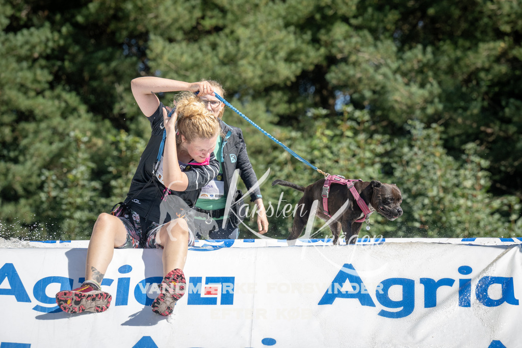 1153_ZZ94487 | kk-dogfotos