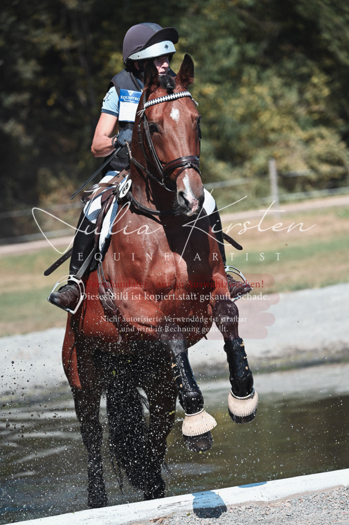 DSC_8489 | Pferde- und Turnierfotografie in Westsachsen. Pferdeportraits, Auftragszeichnungen und intuitive Kunst.