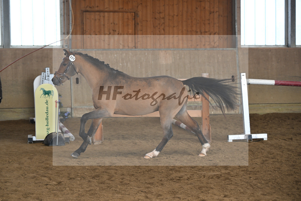 Kat-Nr. 9 More of Hollywood v. Mescal_Drude_49250228 | hf-fotografie - Realisiert mit Pictrs.com